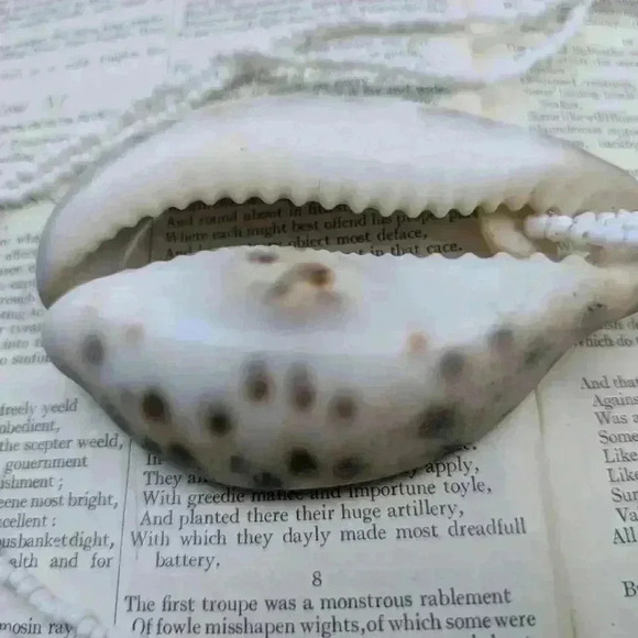 Vintage tiger cowrie shell  beaded necklace - Picture 11 of 13